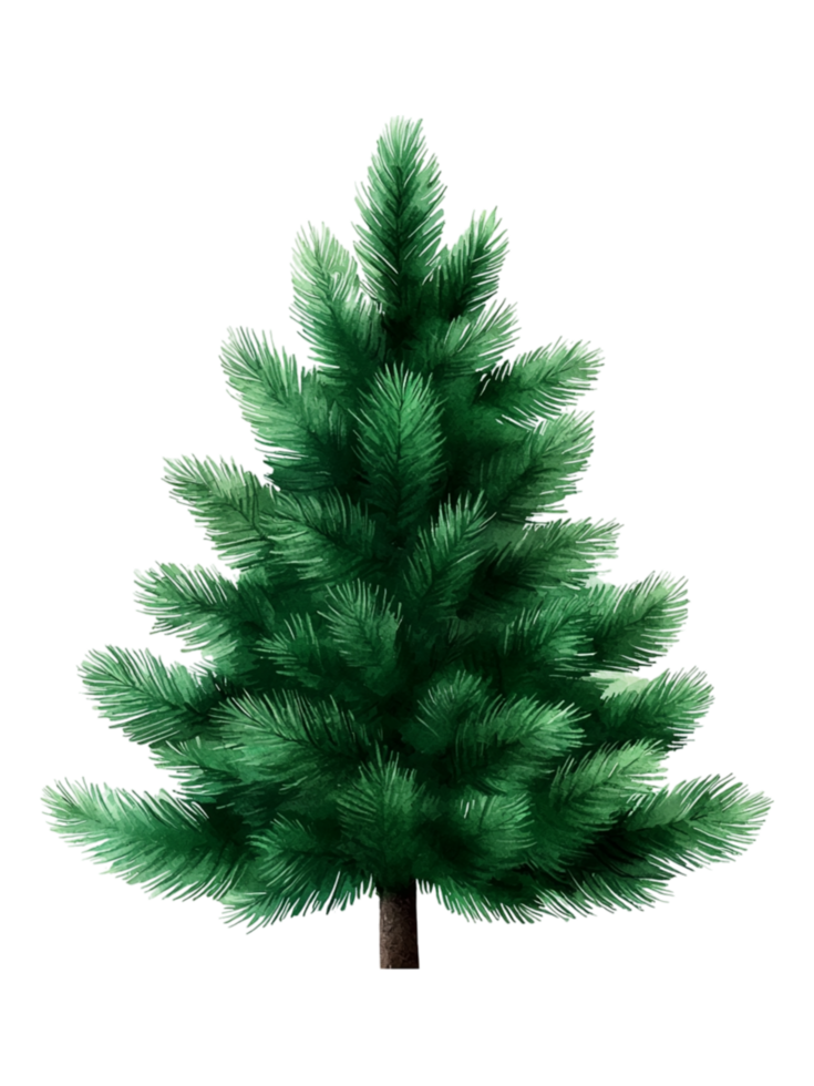 Detailed Green Tree with Lush Foliag png