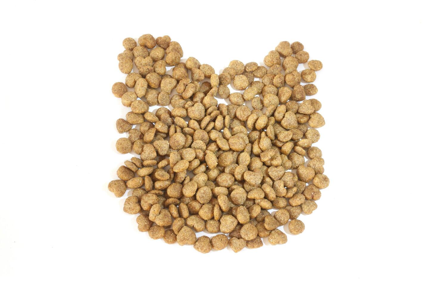 A cat is made out of dog food photo