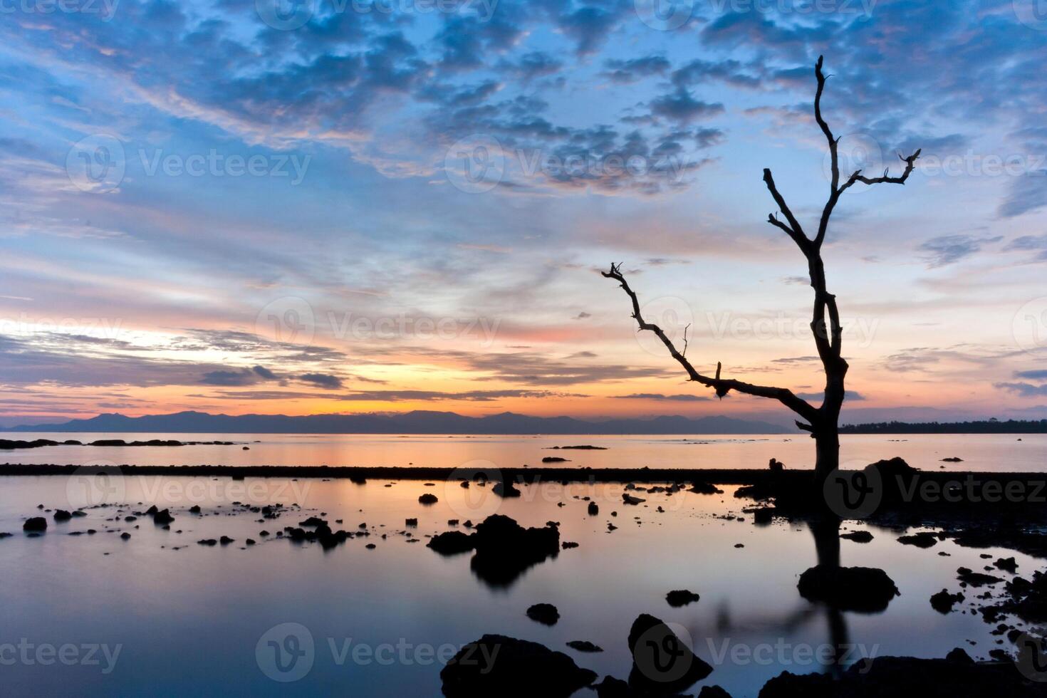 A lone tree stands in the water at sunset photo
