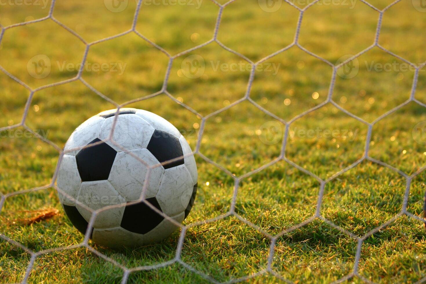 A soccer ball sits on the grass in front of a net photo
