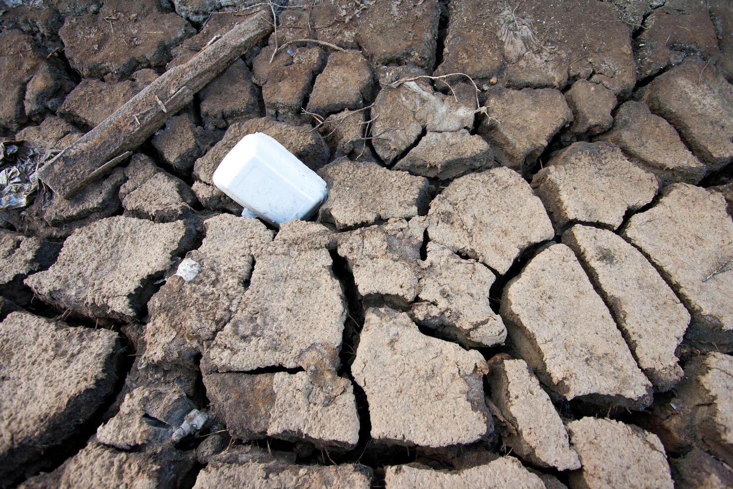 A white plastic bottle is sitting on the ground photo
