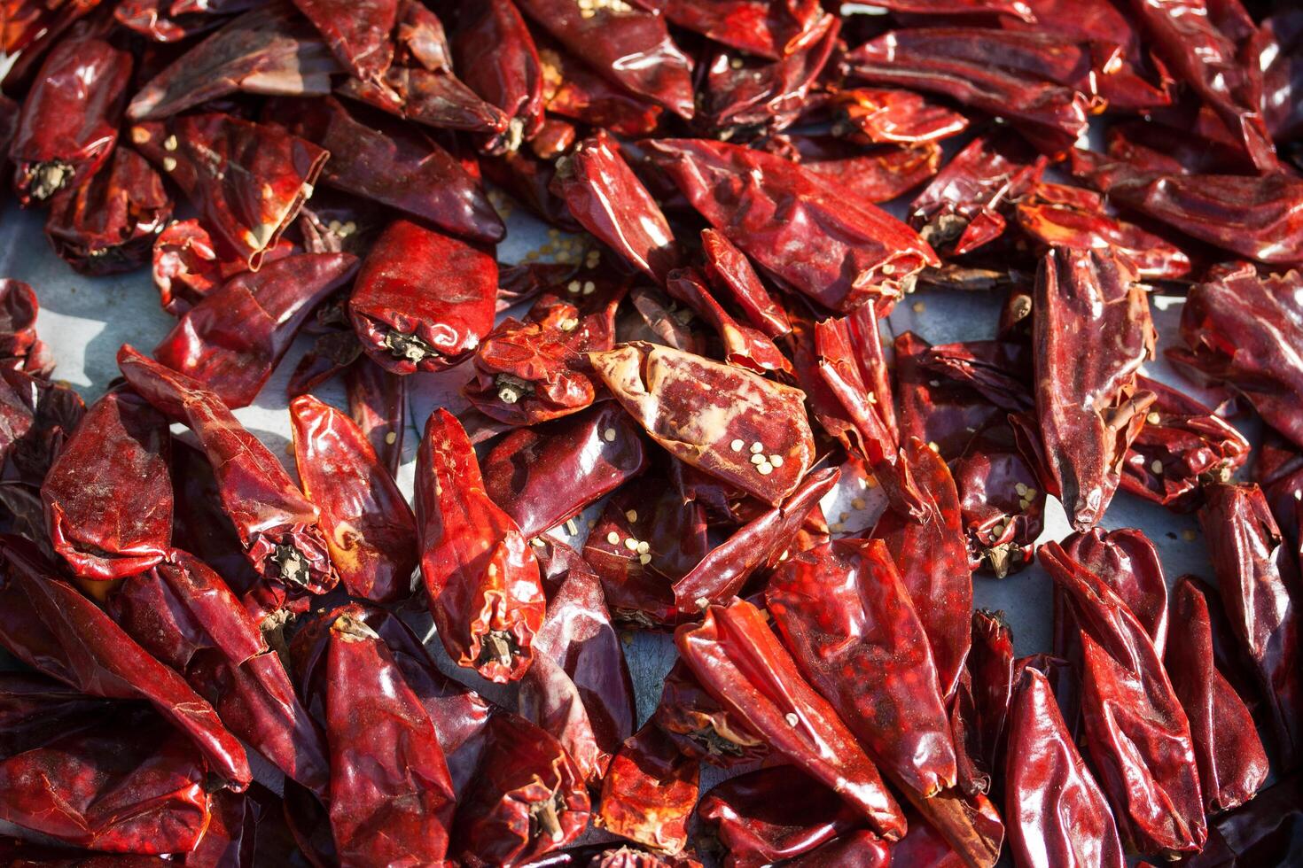 A pile of dried red peppers in a metal pan photo
