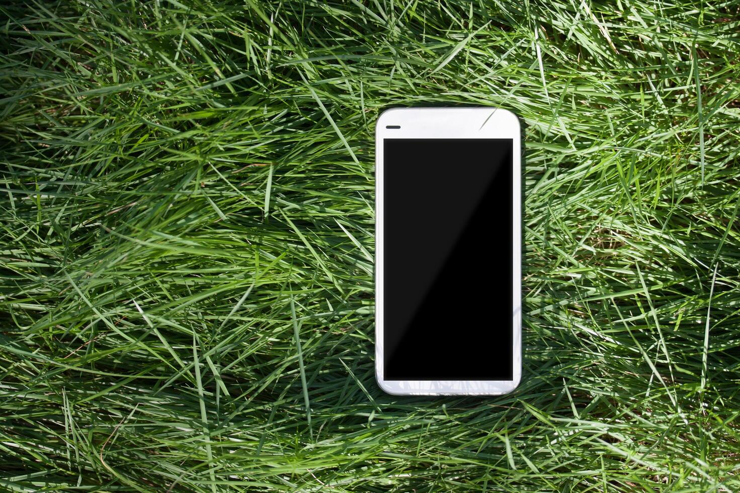 An iphone is sitting in the grass photo