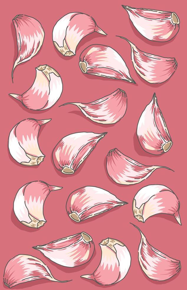 Beautiful Herbskitchen garlic with a red issolated on purple vector