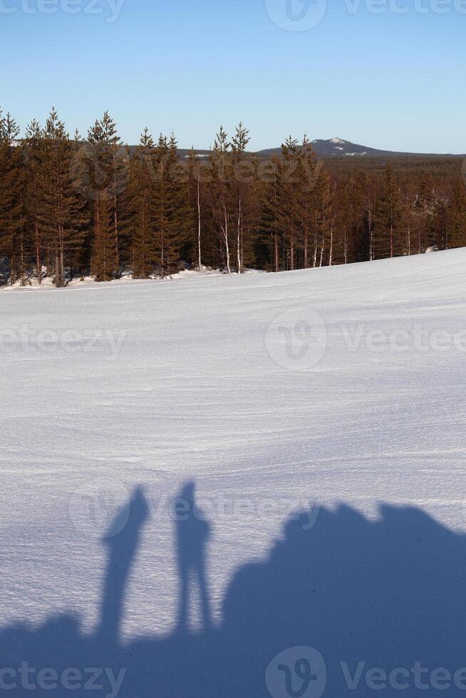 Shadows of two people standing on hill in Lapland landscape in winter photo