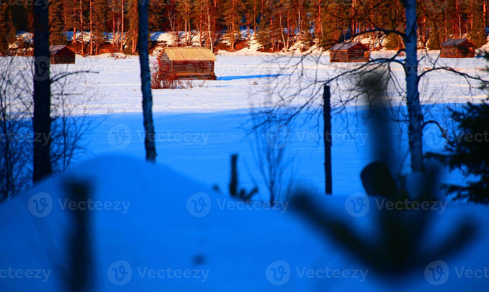 Conceptual shot of nature reserve Svansele Dammanger Svansele water-meadows in winter evening with strong color contrast photo