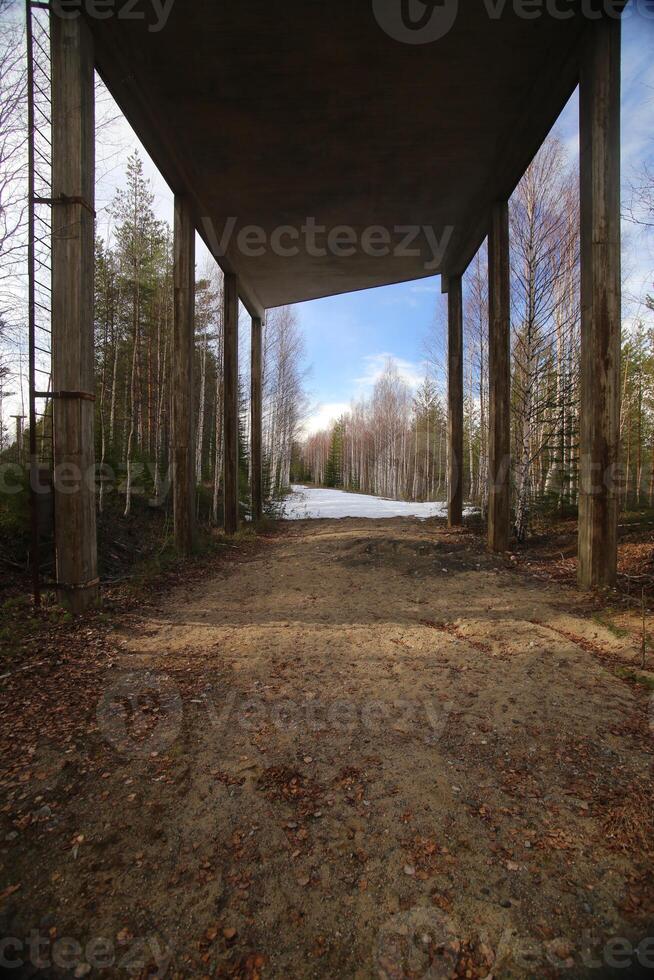 View under abandoned platform of old railway structure in Sweden photo