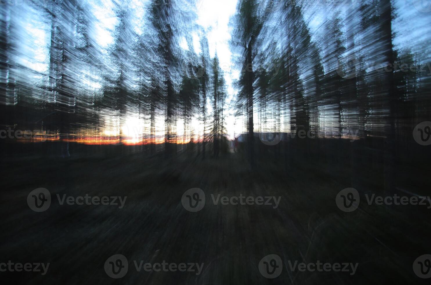 Conceptual shot with motion blur from zooming, in a Swedish forest photo