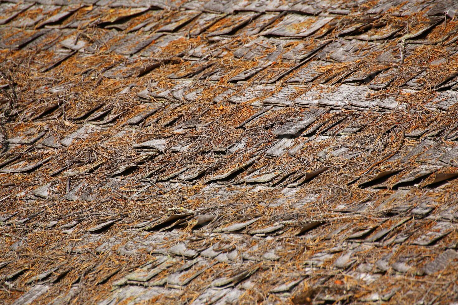 Traditional wooden shingles on a roof of small hut photo