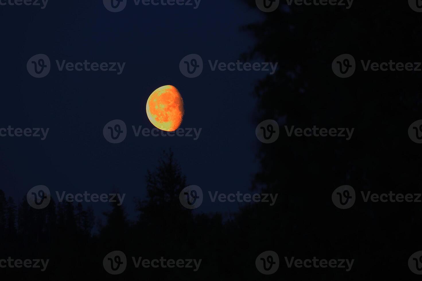 Waxing moon in vibrant orange color on night sky photo
