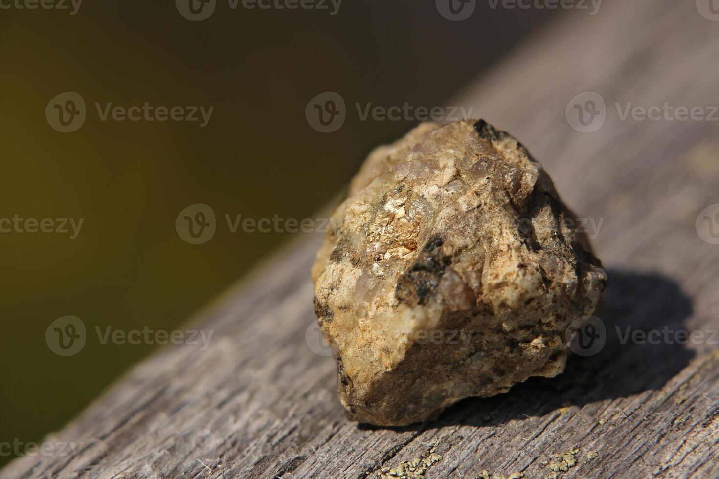 Rock with a shiny golden surface in sunlight photo