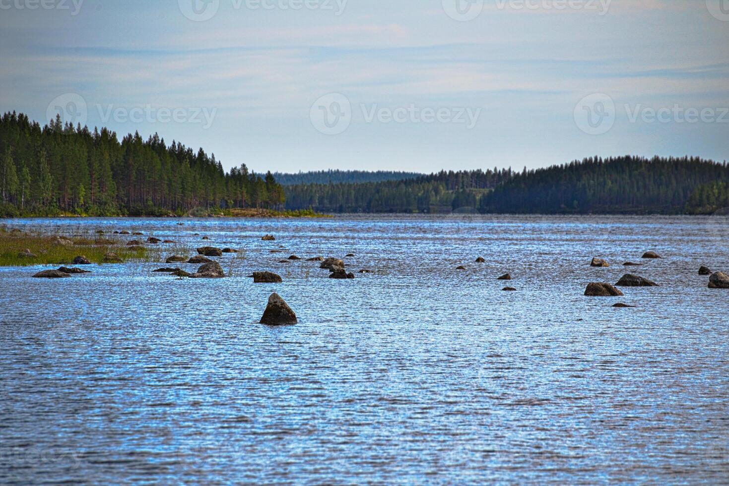 Rocks in shallow water at lake Vargforsdammen, a reservoir in the stream Skelleftealven in Northern Sweden photo