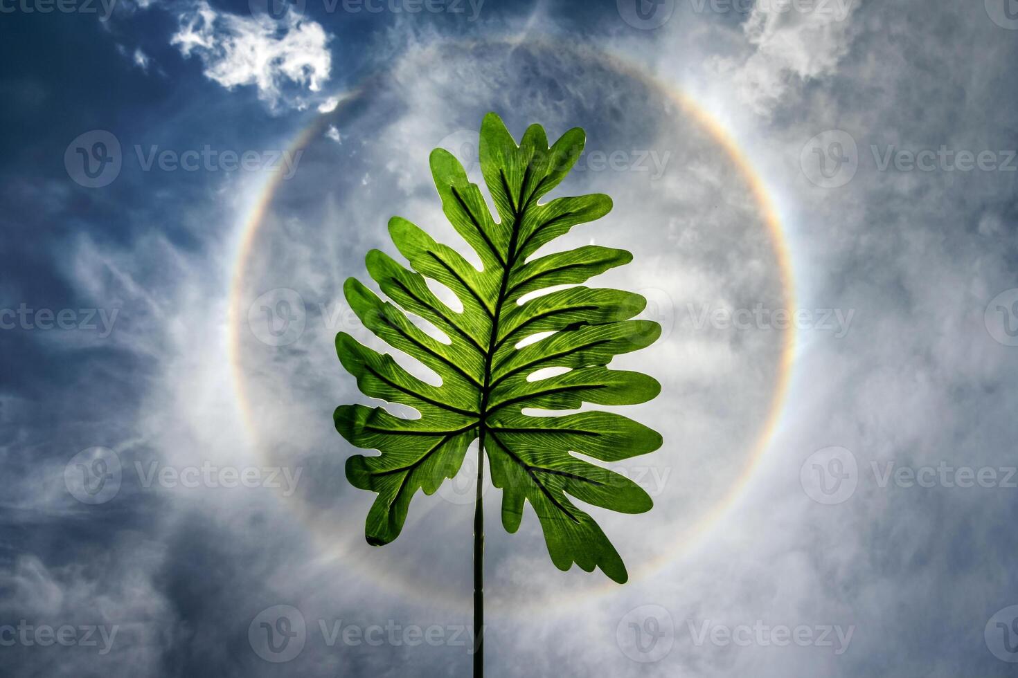 A green leaf is in front of a rainbow photo