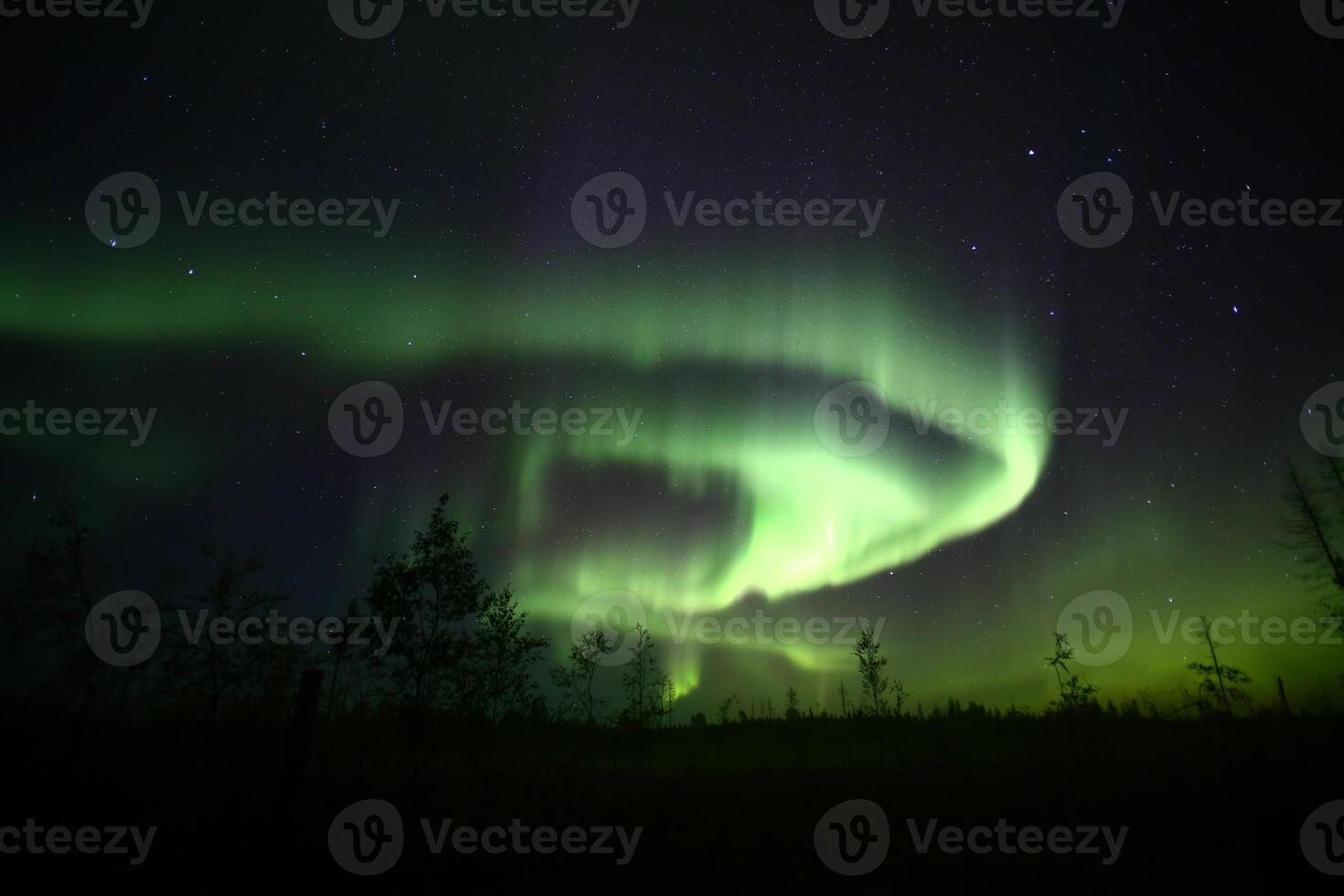 Northern lights over forestscape creating a mythical dragon shape in the night photo
