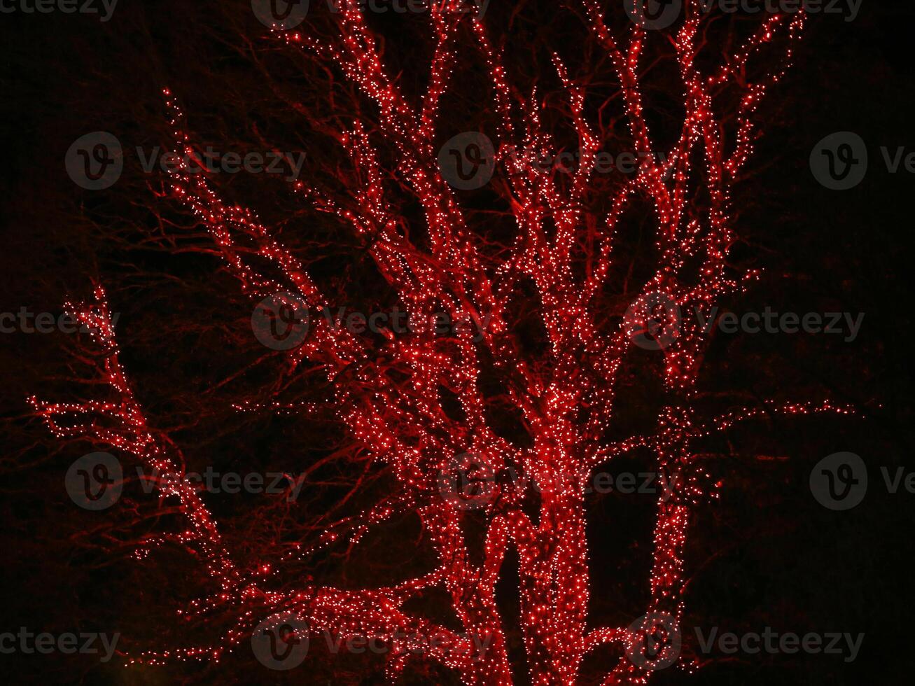Tree decorated with countless red christmas lights photo