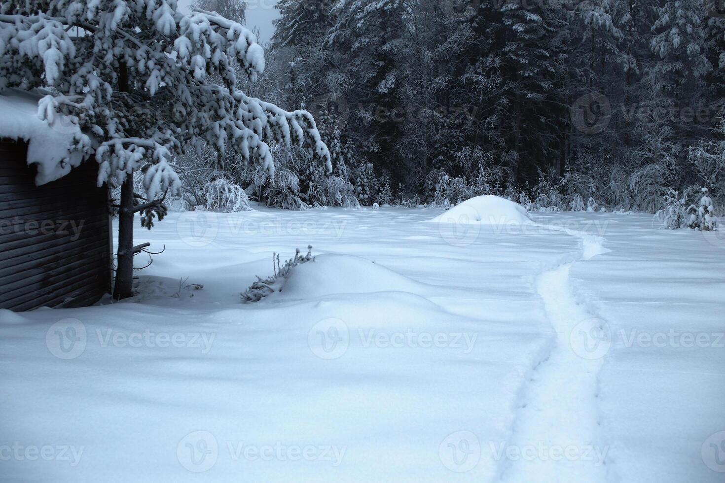 Snow track, hut and heaps of snow photo