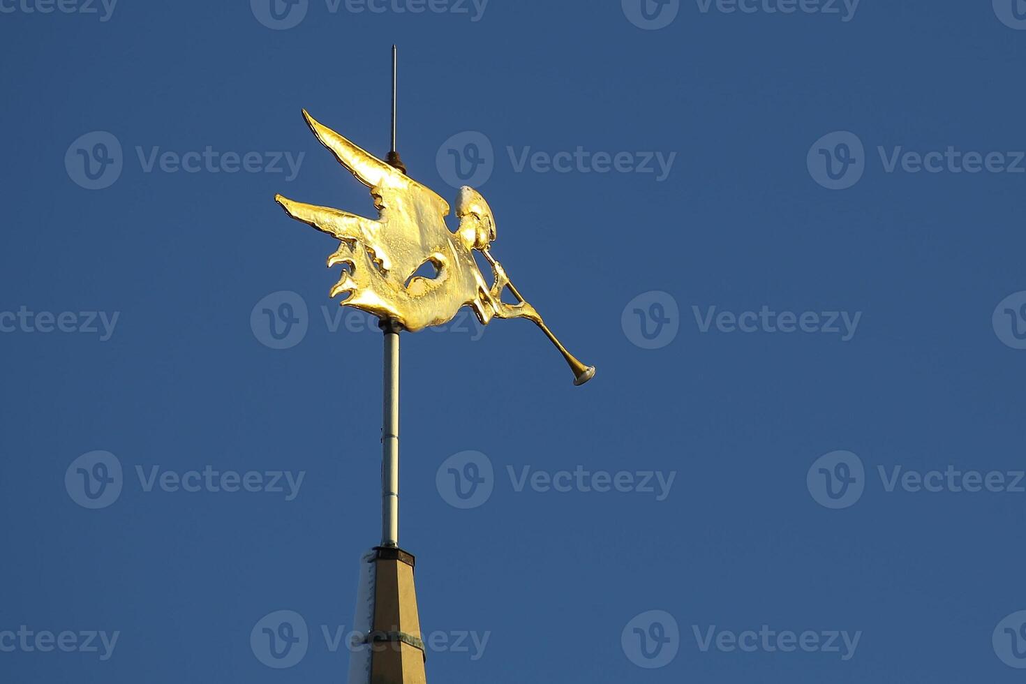Weather vane on Engelska kyrkan, the English Church, in Stockholm photo