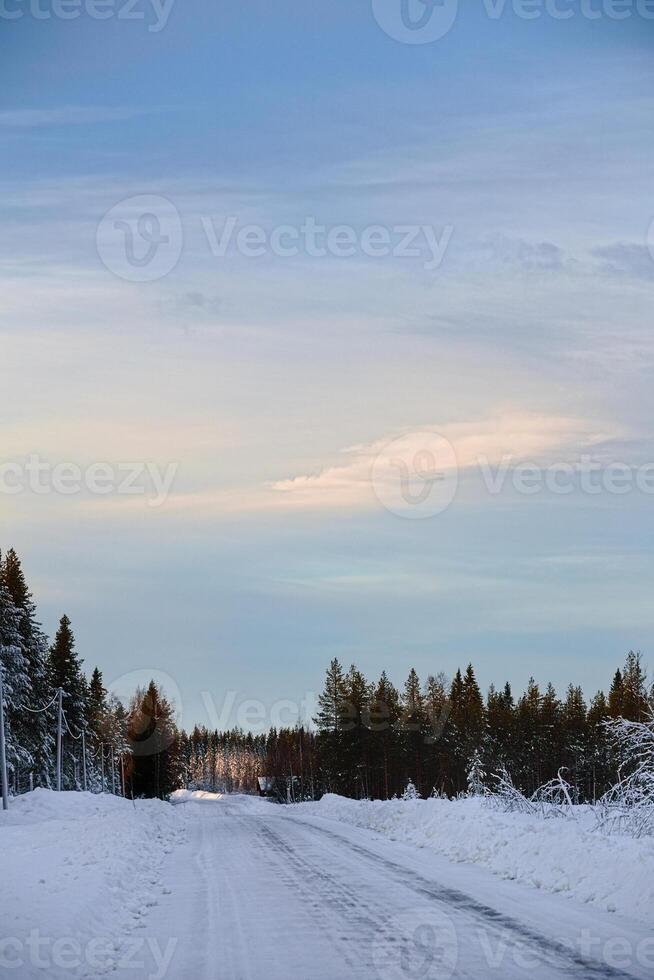 View over winter road in Swedish forest photo