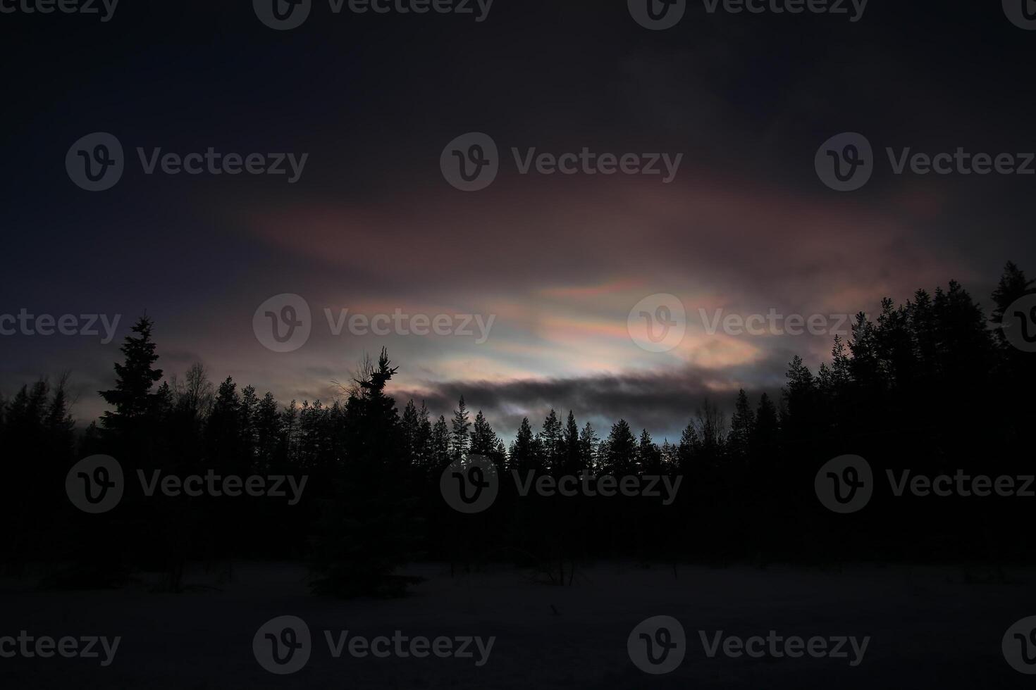 Nacreous and cumulus clouds in dusk over tree silhouettes photo
