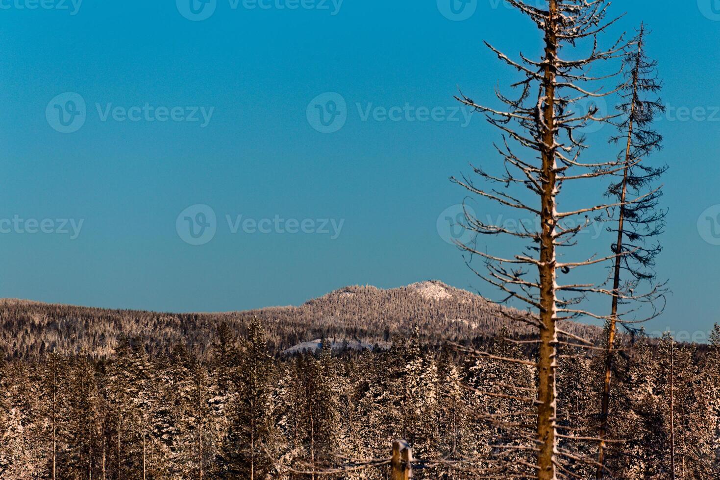 Mount Vithatten in Vasterbotten, Sweden, under blue sky photo