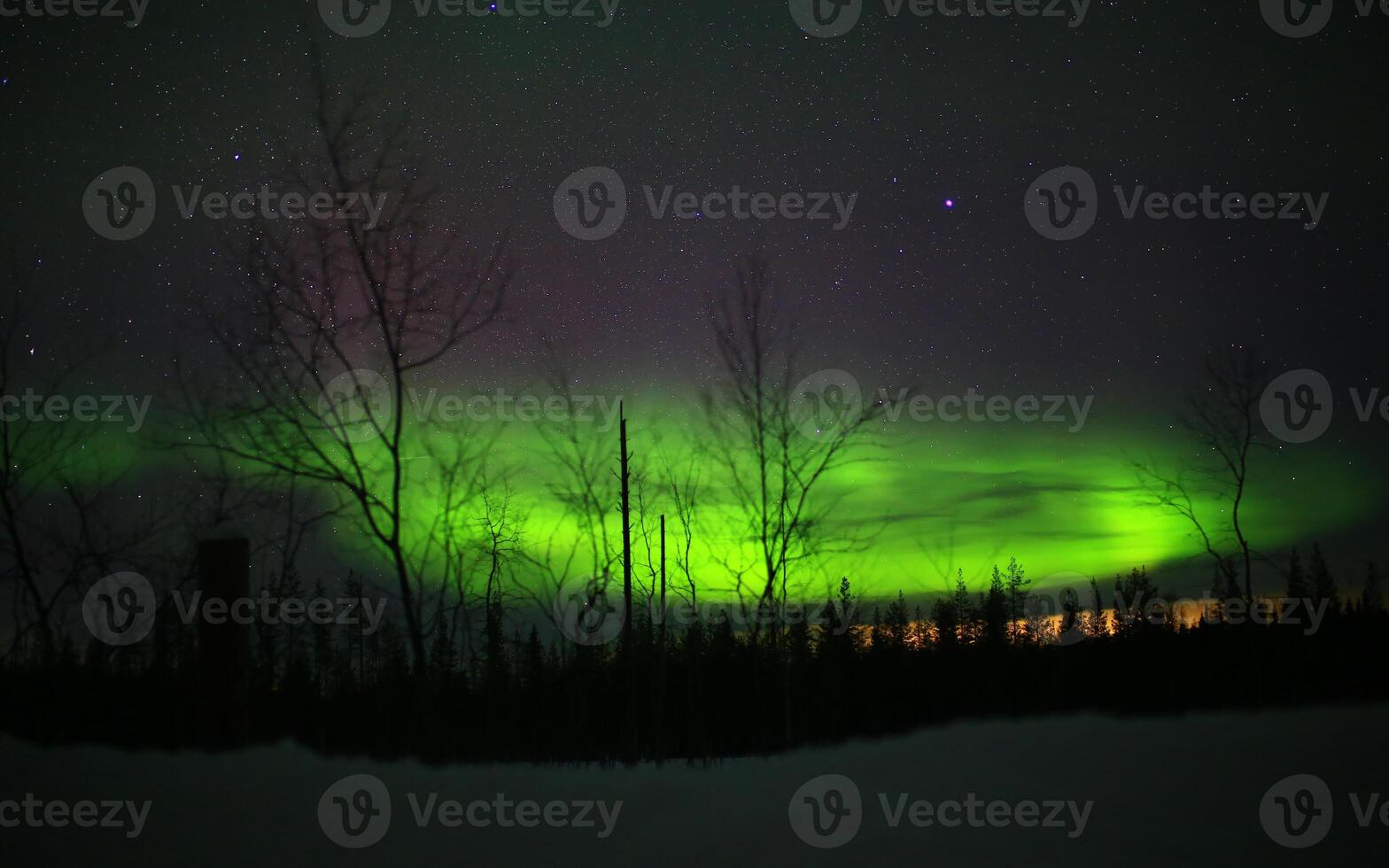 Intense northern lights and clouds over forest landscape photo