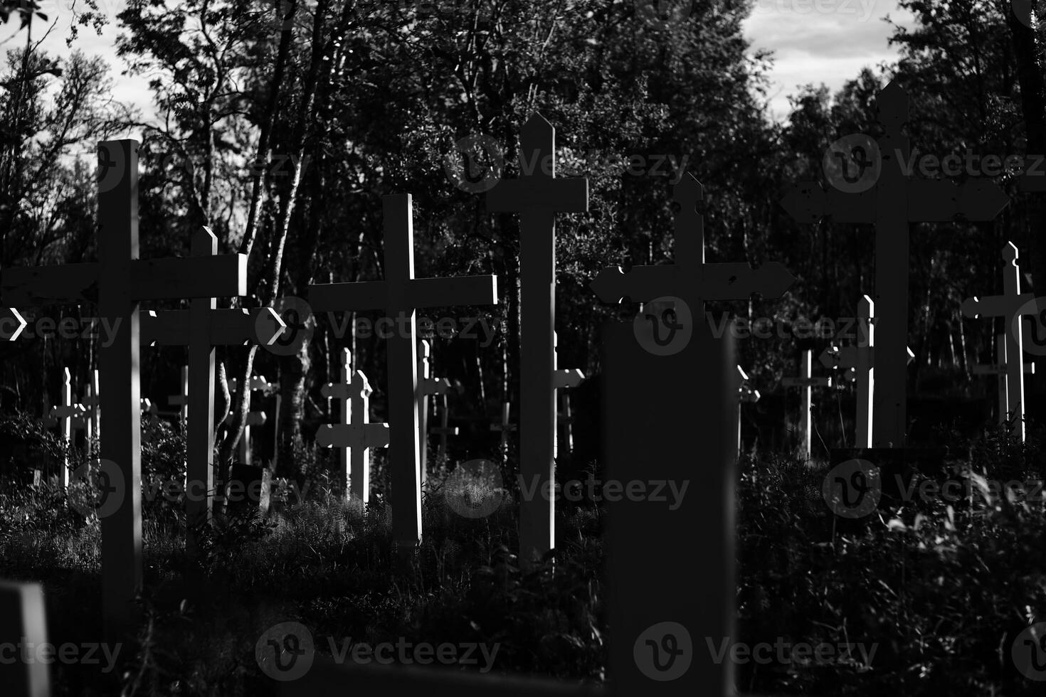 Crosses at Tornehamns kyrkogard, a navvy cemetery in northern Sweden photo