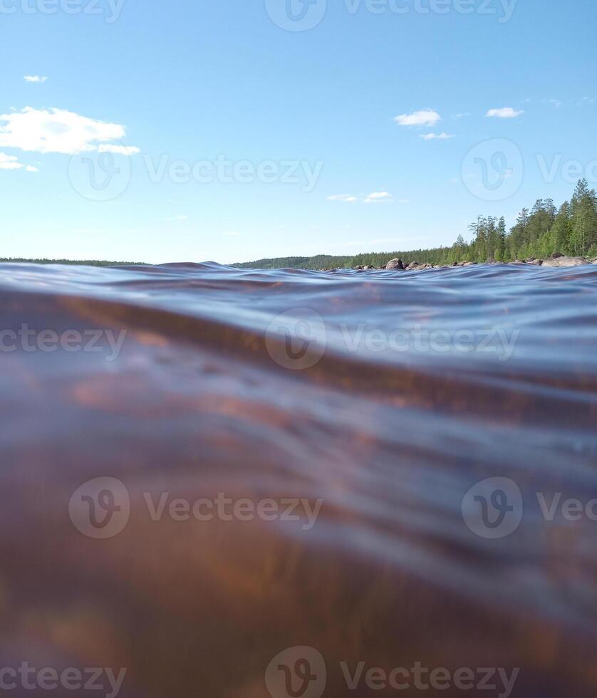 Swimming in the river Skelleftealven in Vasterbotten, Sweden photo