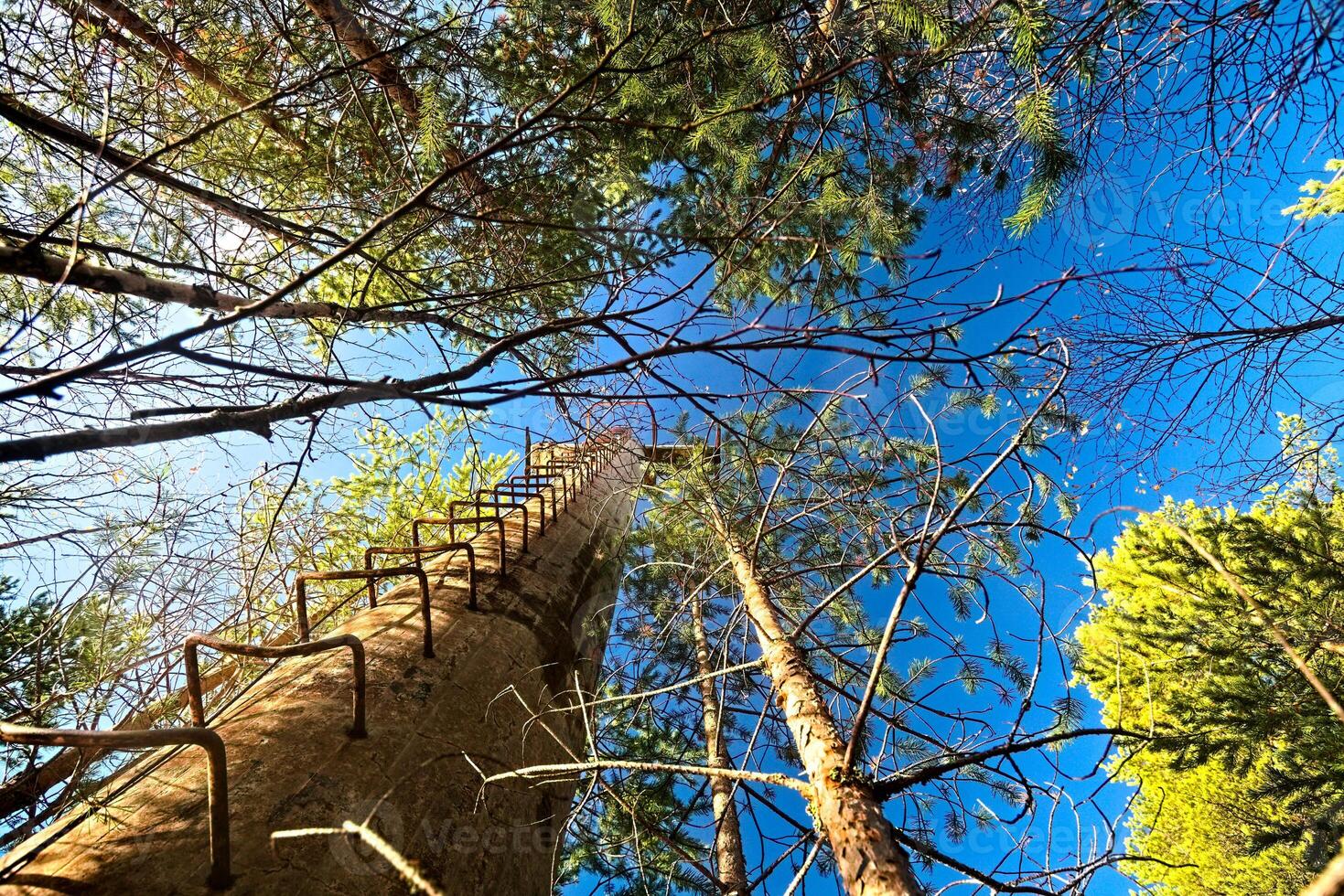 Upward view to concrete pillar at lake Menstrask, part of the old material ropeway Linbanan Kristineberg-Boliden photo