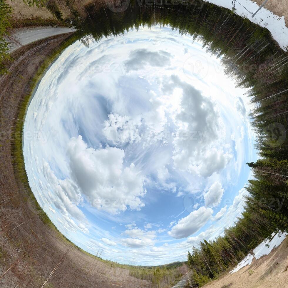 Rabbit hole panorama of forest and clearing in Vasterbotten, Sweden photo