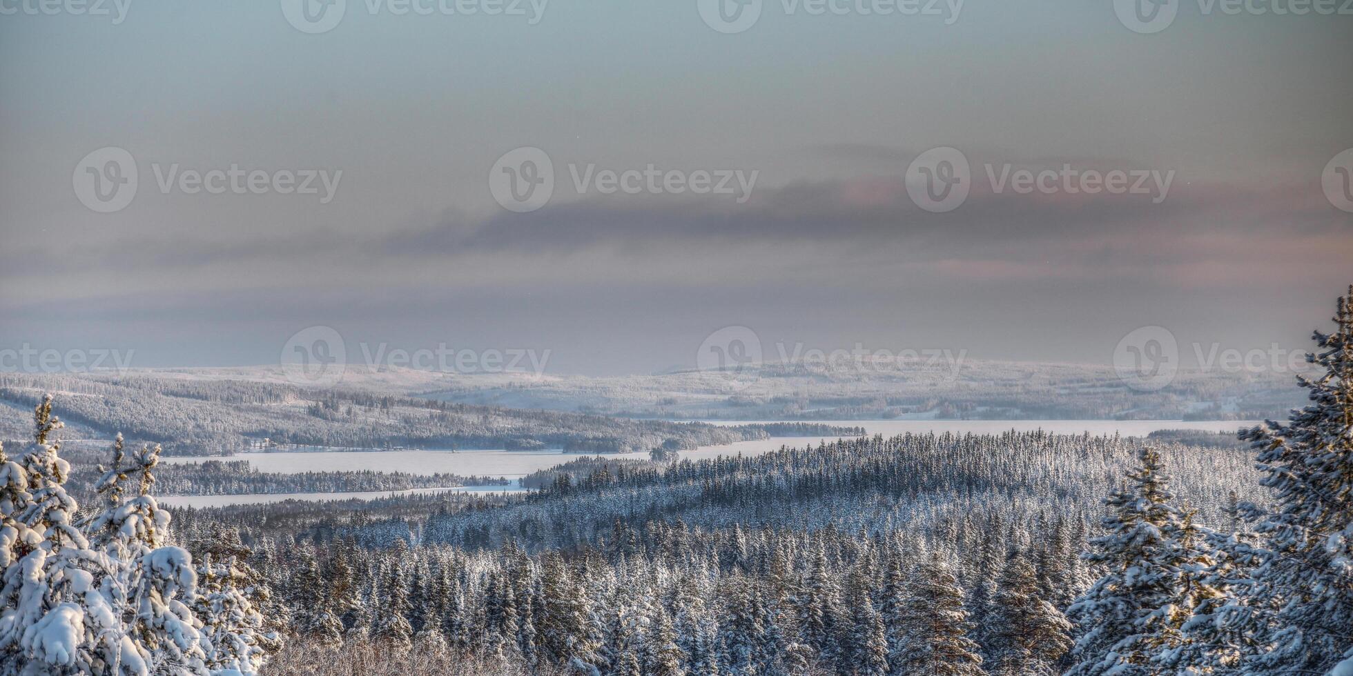 View to Lake Lillholmstrasket in Sweden, seen from Amliden photo