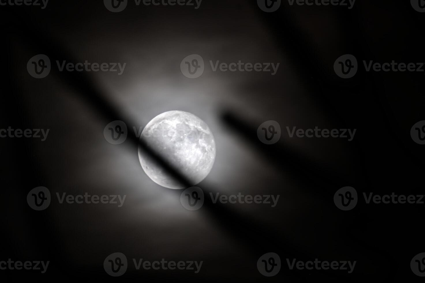 Moon with backlit twigs in the foreground photo