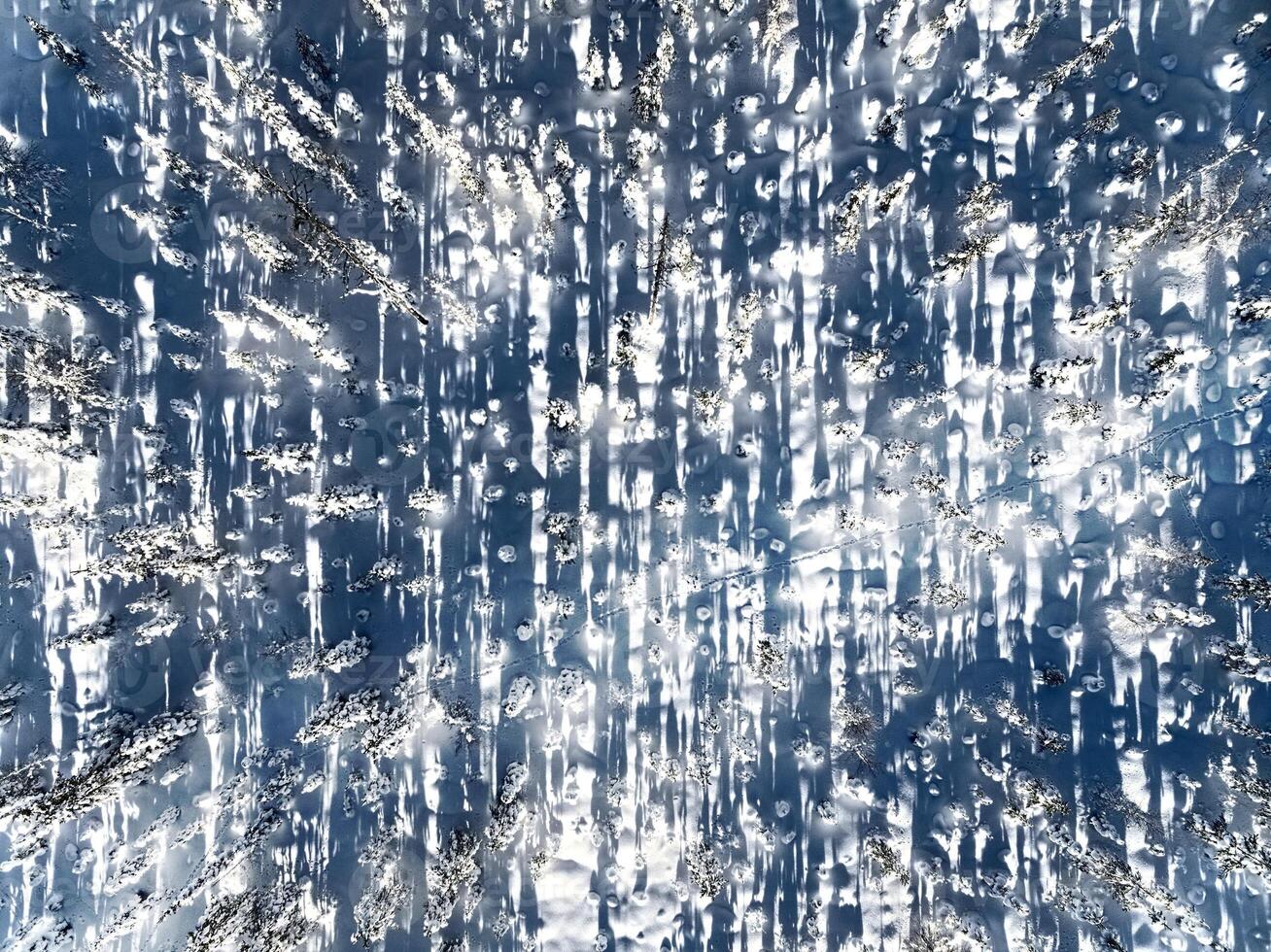 Abstract drone shot of winter forest in swedish lapland photo
