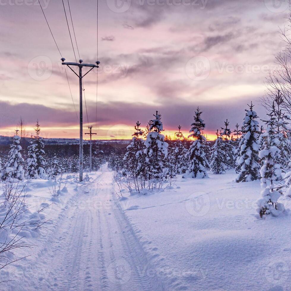 Scooter track and power line in remote place in Lapland photo