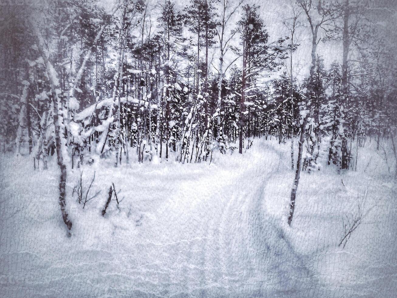 Grungy image of scooter track and birch forest in Lapland photo