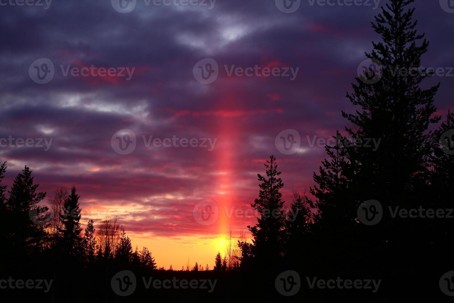 Sun pillar and evening sky with forest silhouette photo