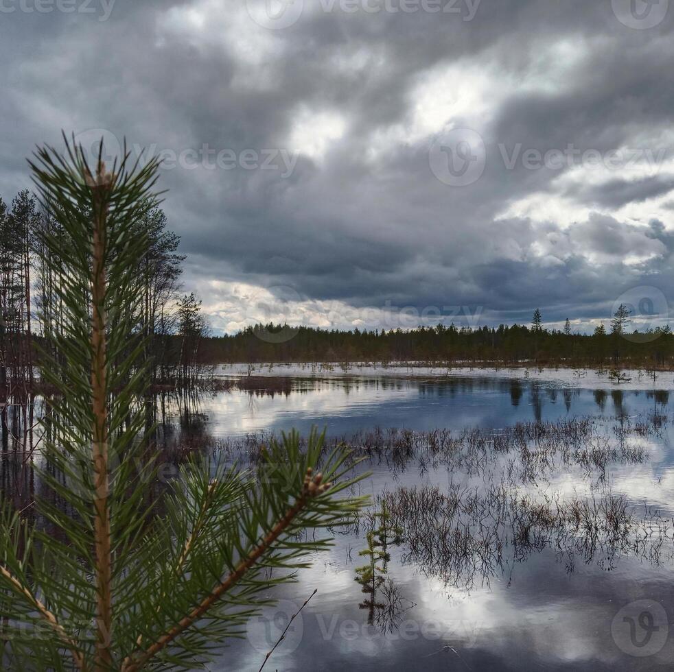 View over a small lake in Swedish Lapland photo
