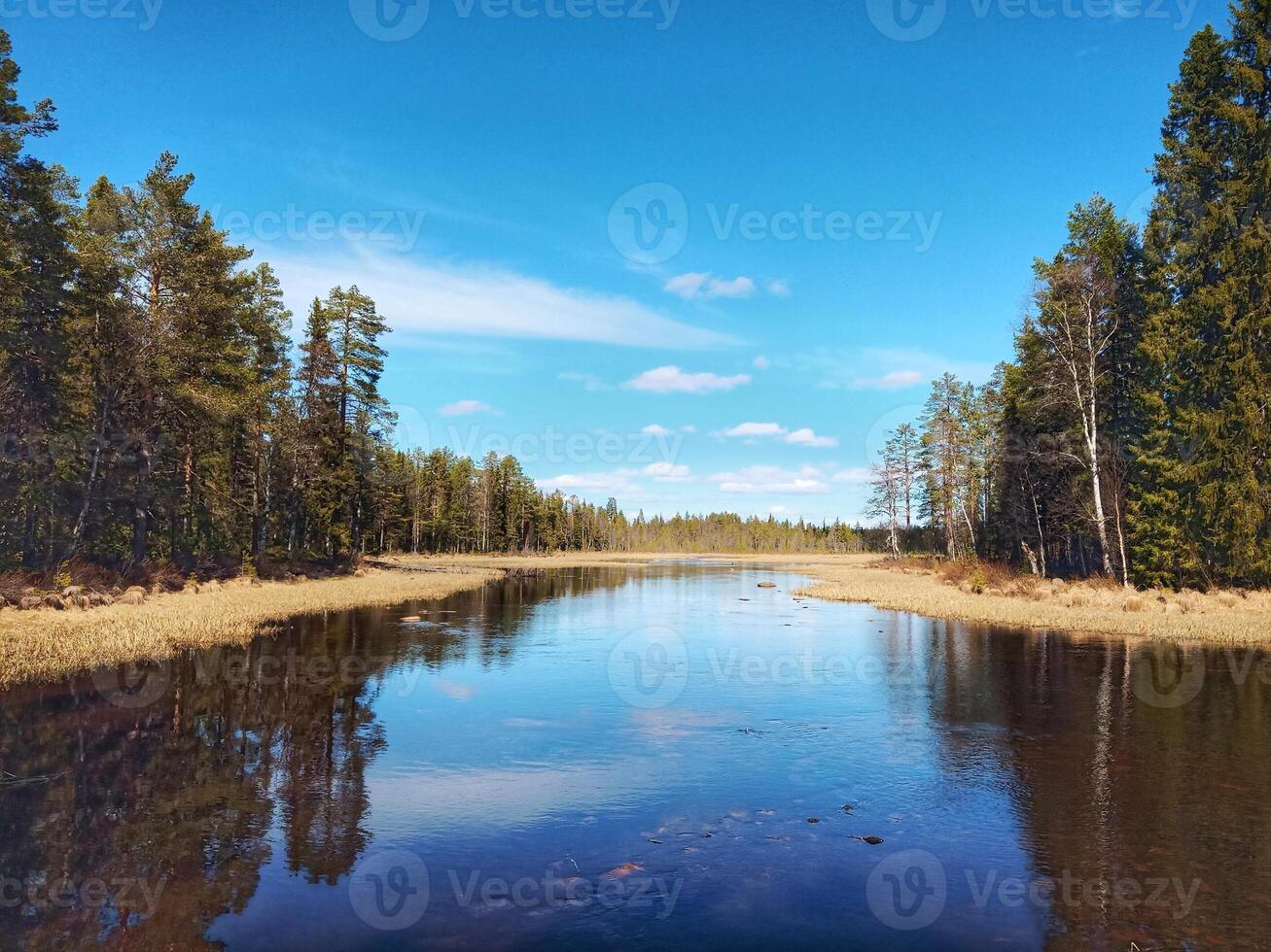 View over a small lake in Swedish Lapland photo