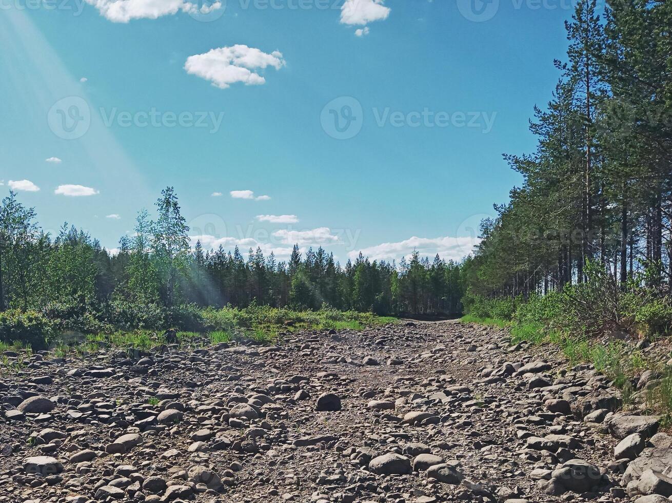Dry river bed at Skellefte River in Sweden photo