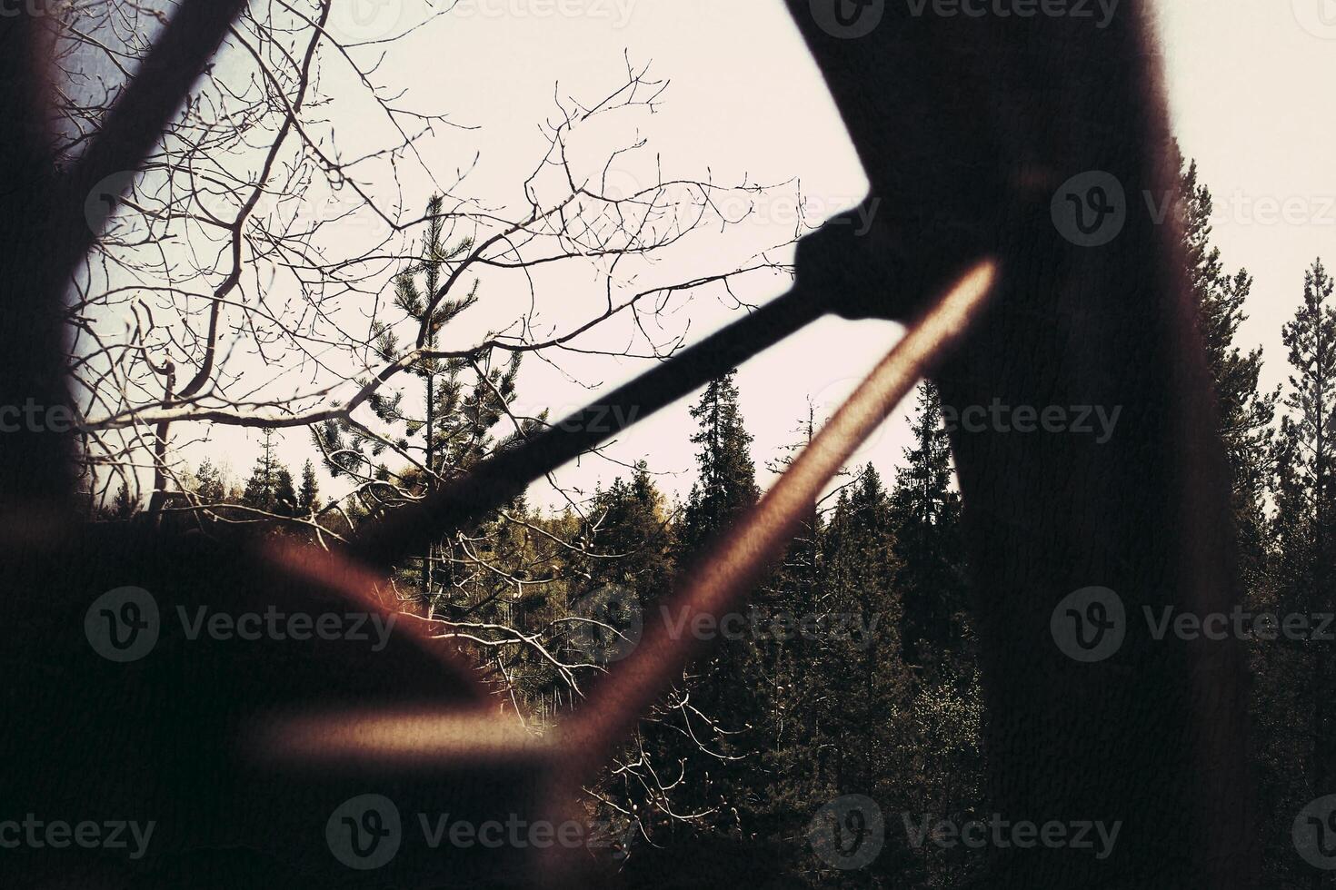 Grungy shot of rusty wheel at an abandoned mine photo
