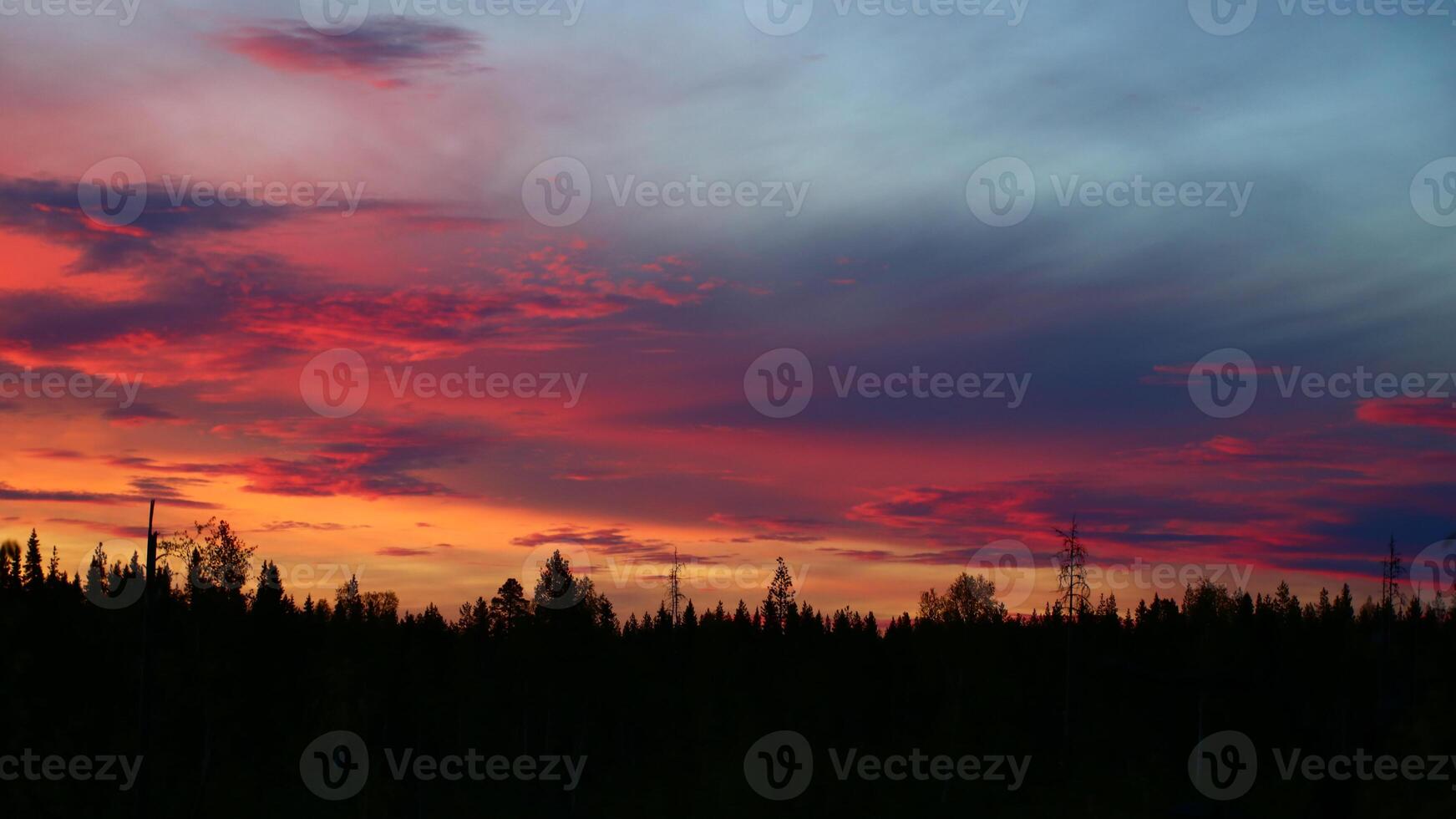 Colorful sunset clouds in front of forest silhouette photo