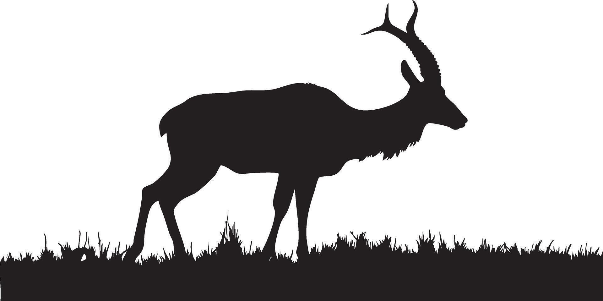 Wildlife Emblem Highlighting Pronghorn Antelope vector