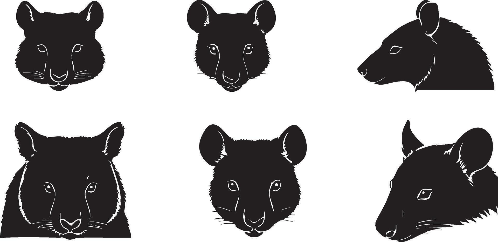 Nocturnal Wombat Head for Wildlife-Inspired Designs vector