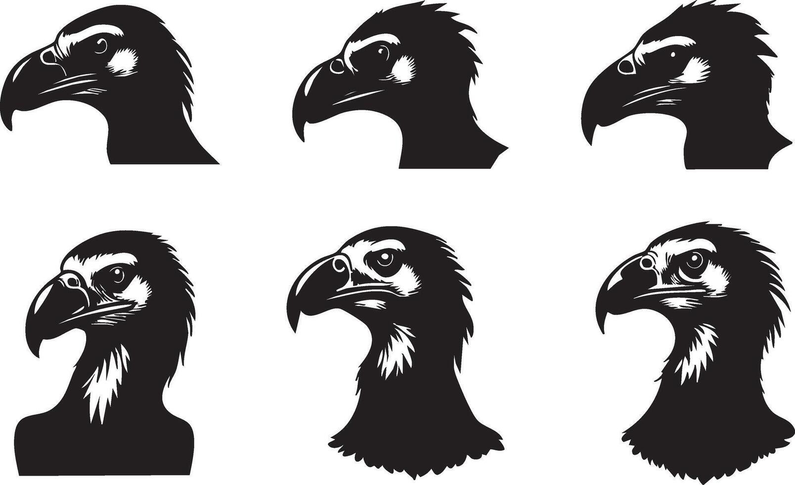 Detailed Vulture Illustration for Wildlife Art Projects vector