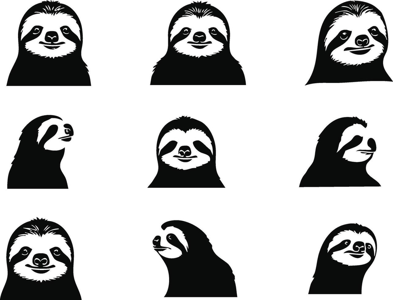 Realistic Sloth Head Illustration for Tropical Themes vector