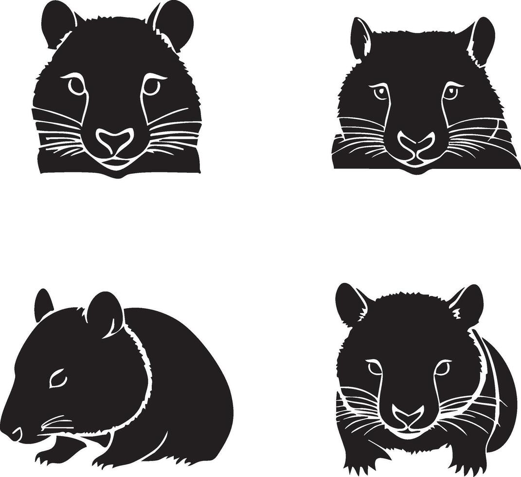 Wombat Face Silhouette for Cute and Charming Artwork vector