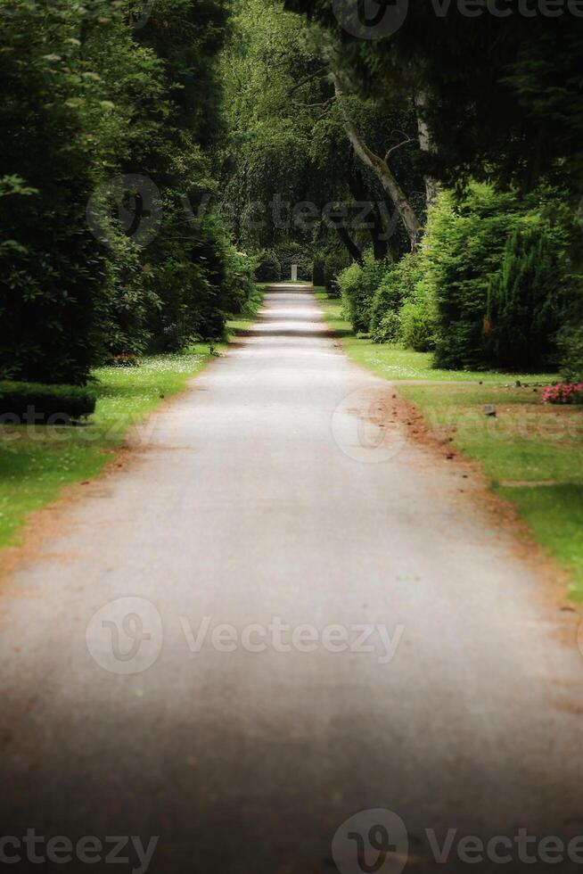 Long vista in the park cemetery Ohlsdorf in Hamburg photo