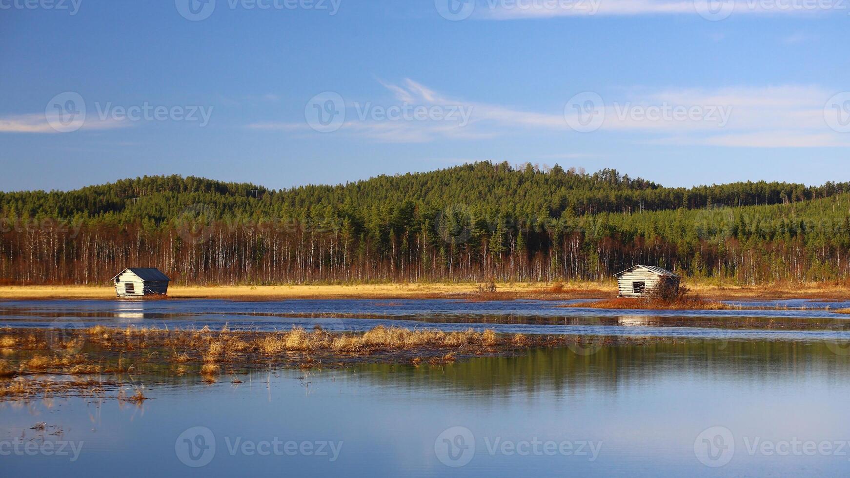 Water meadows at Svansele Dammangar nature reserve in Sweden photo