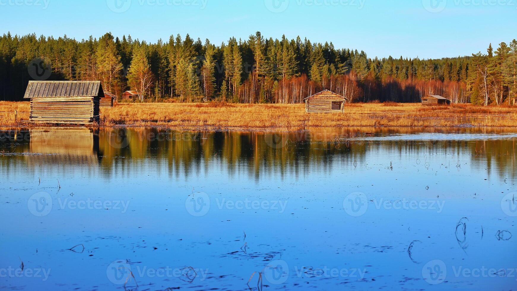 Autumn at Svansele Dammangar nature reserve in Sweden photo