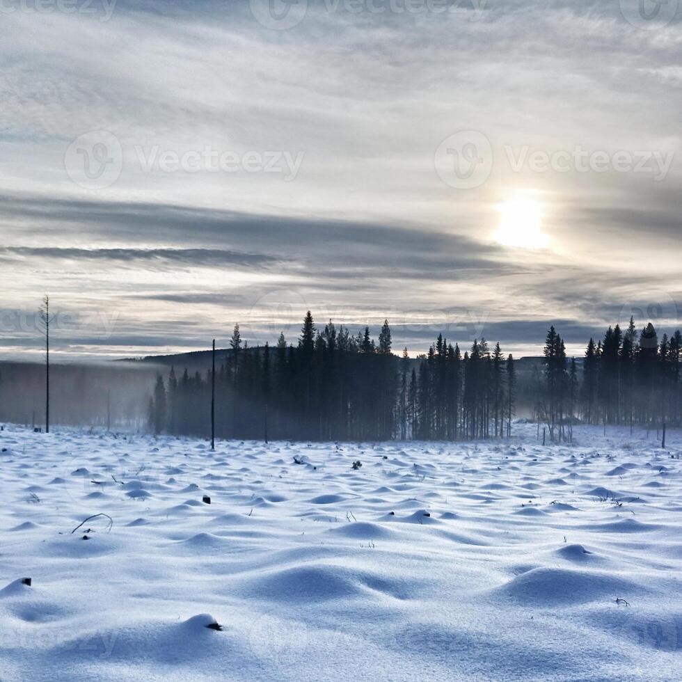 Winter wasteland on a misty day in Lapland photo