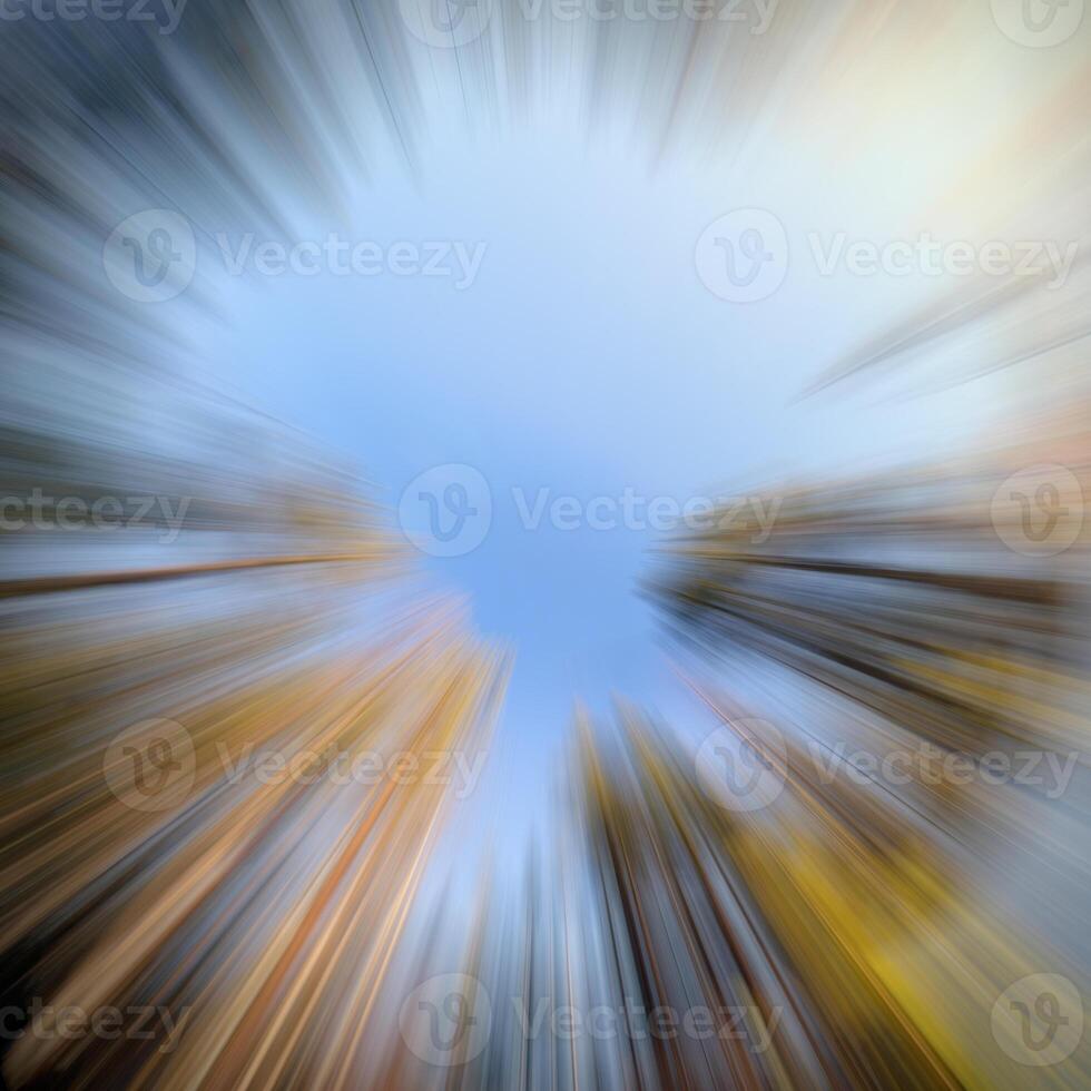 Conceptual upward shot of zoom blur in a forest photo